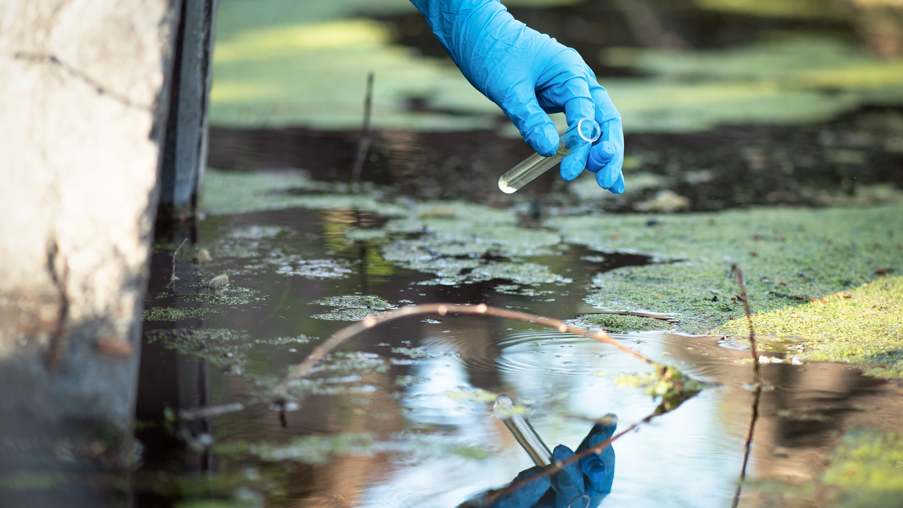 Contaminaci&oacute;n del agua