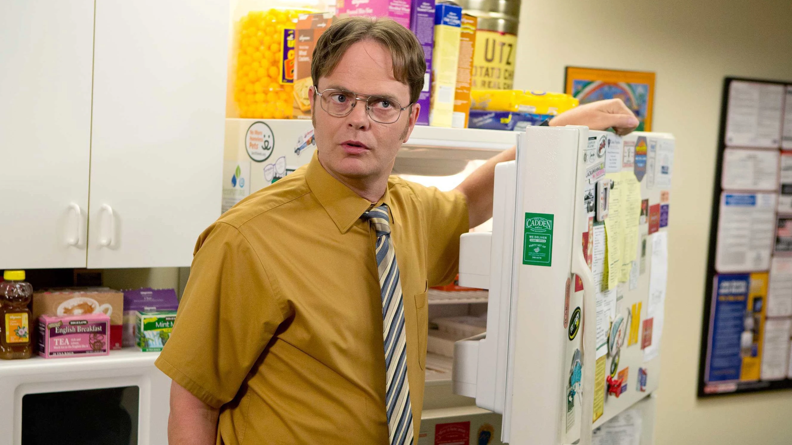Rainn Wilson como Dwight en The Office Rainn Wilson como Dwight en The Office