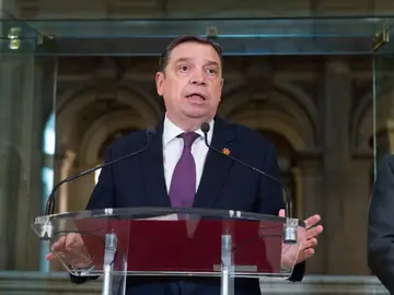 El ministro de Agricultura, Pesca y Alimentación, Luis Planas El ministro de Agricultura, Pesca y Alimentación, Luis Planas