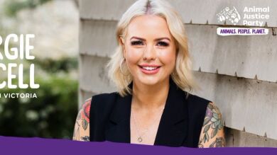 Una diputada australiana denuncia modificación sexista de sus fotos 