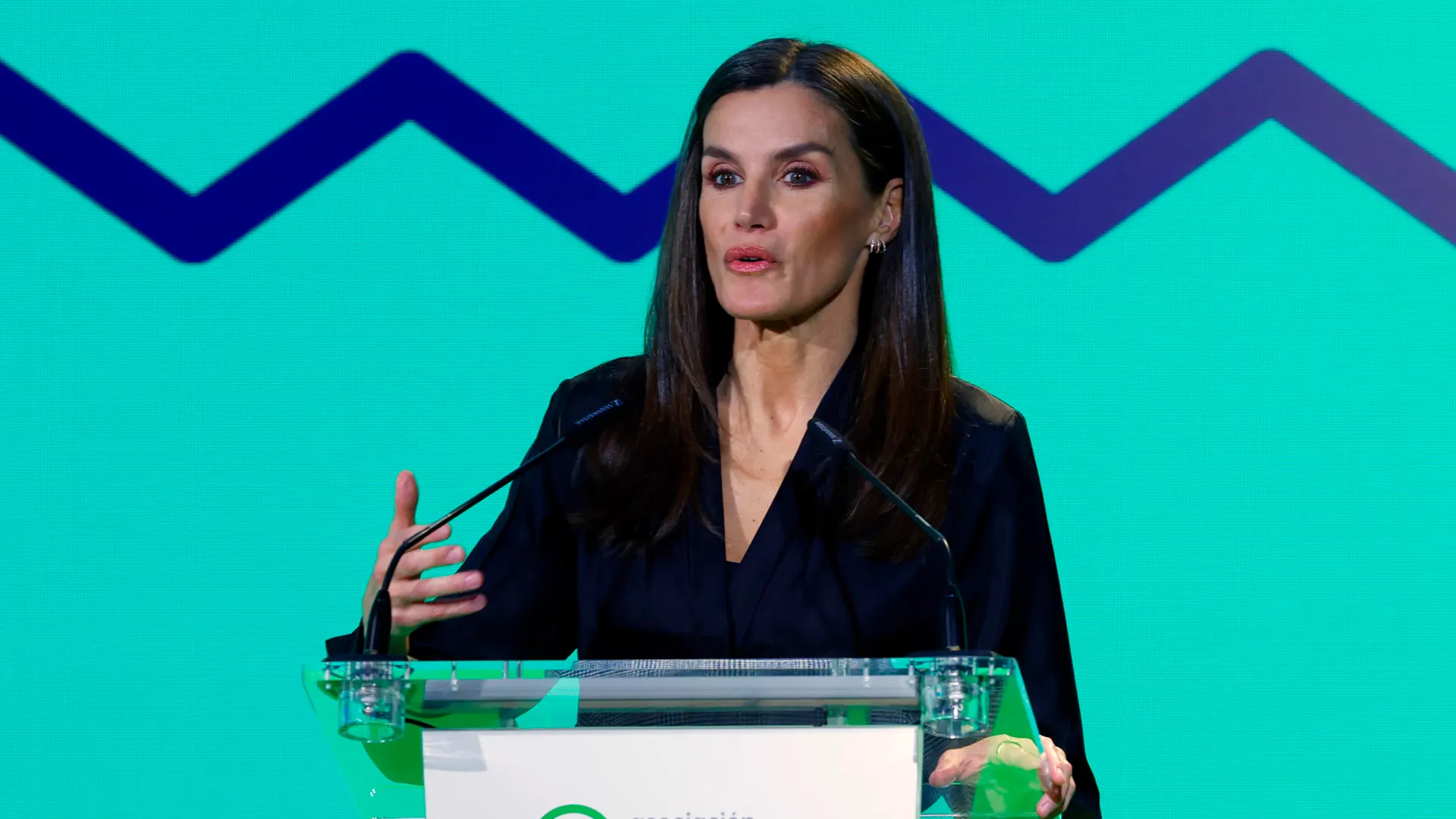La Reina Letizia, en el acto del D&iacute;a Mundial contra el C&aacute;ncer