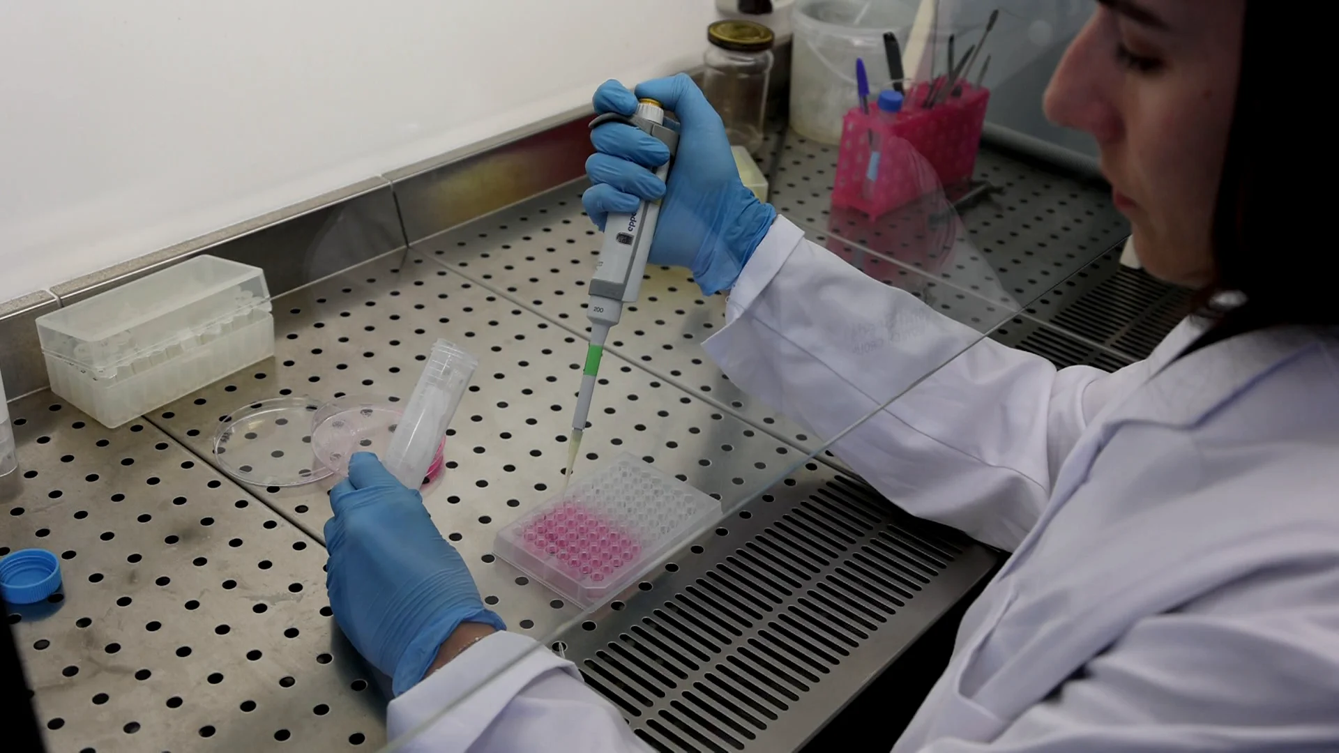 Investigación científica Investigación científica