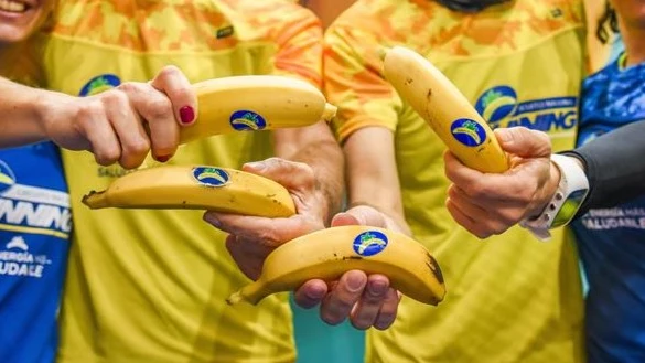 Plátano de Canarias Plátano de Canarias