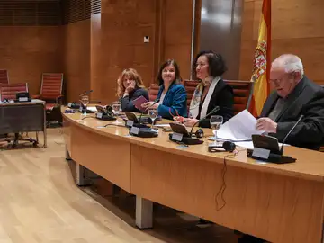 La Comisión de Venecia La Comisión de Venecia