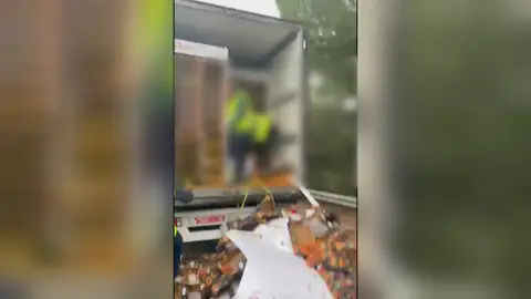 Agricultores tiran los tomates marroquíes Agricultores tiran los tomates marroquíes