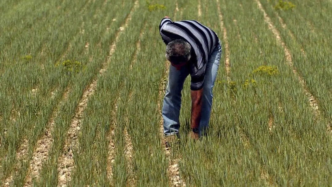 Agricultor espa&ntilde;ol