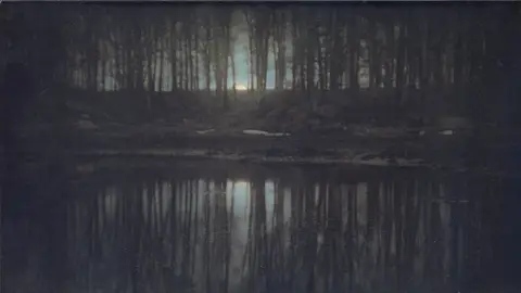 The Pond Moonlight The Pond Moonlight