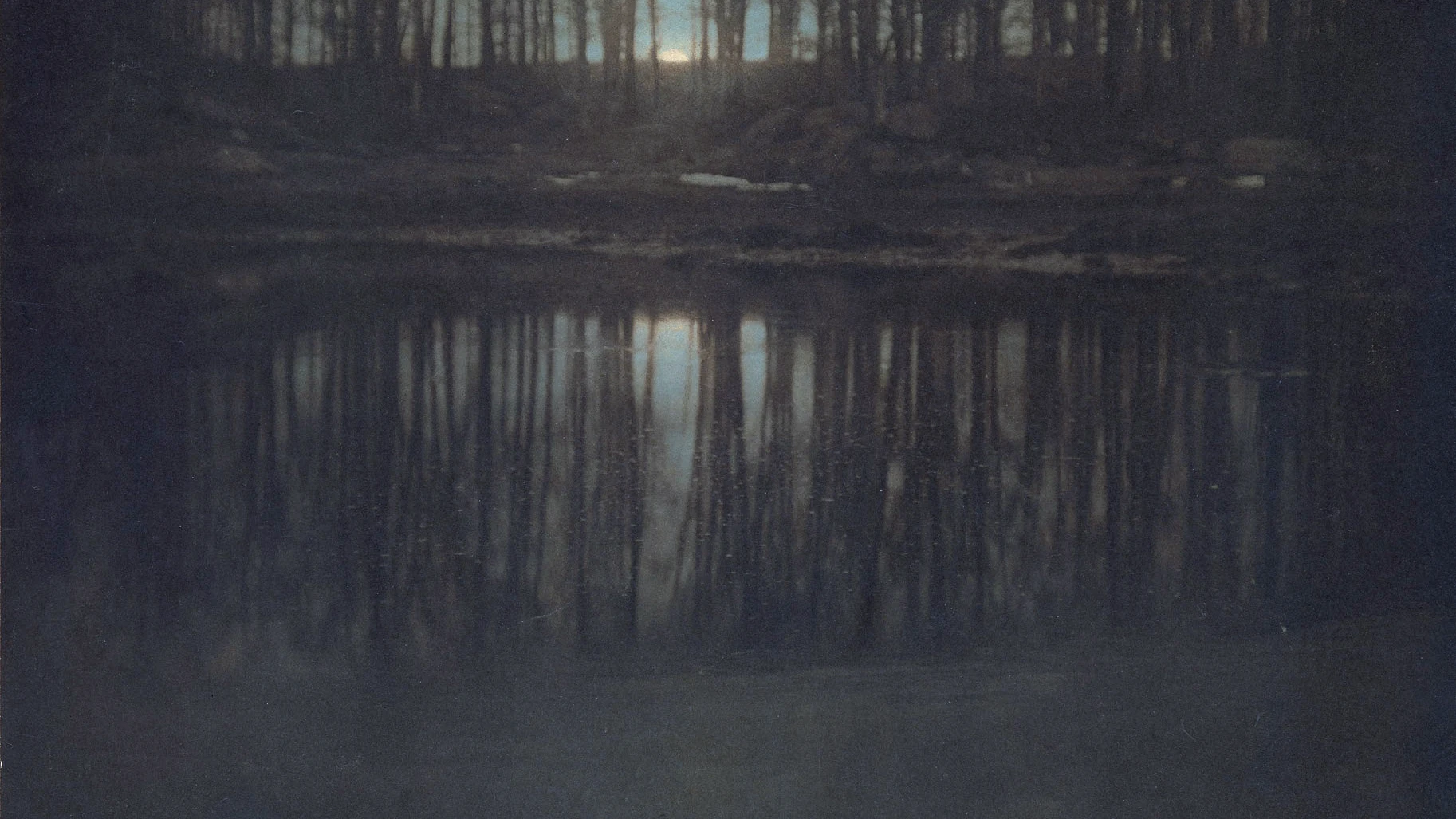 The Pond Moonlight The Pond Moonlight