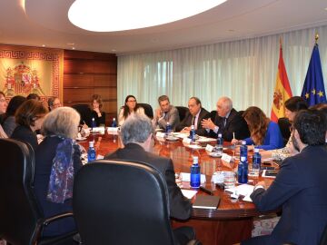 Reunión de la Comisión de Venecia en el TC