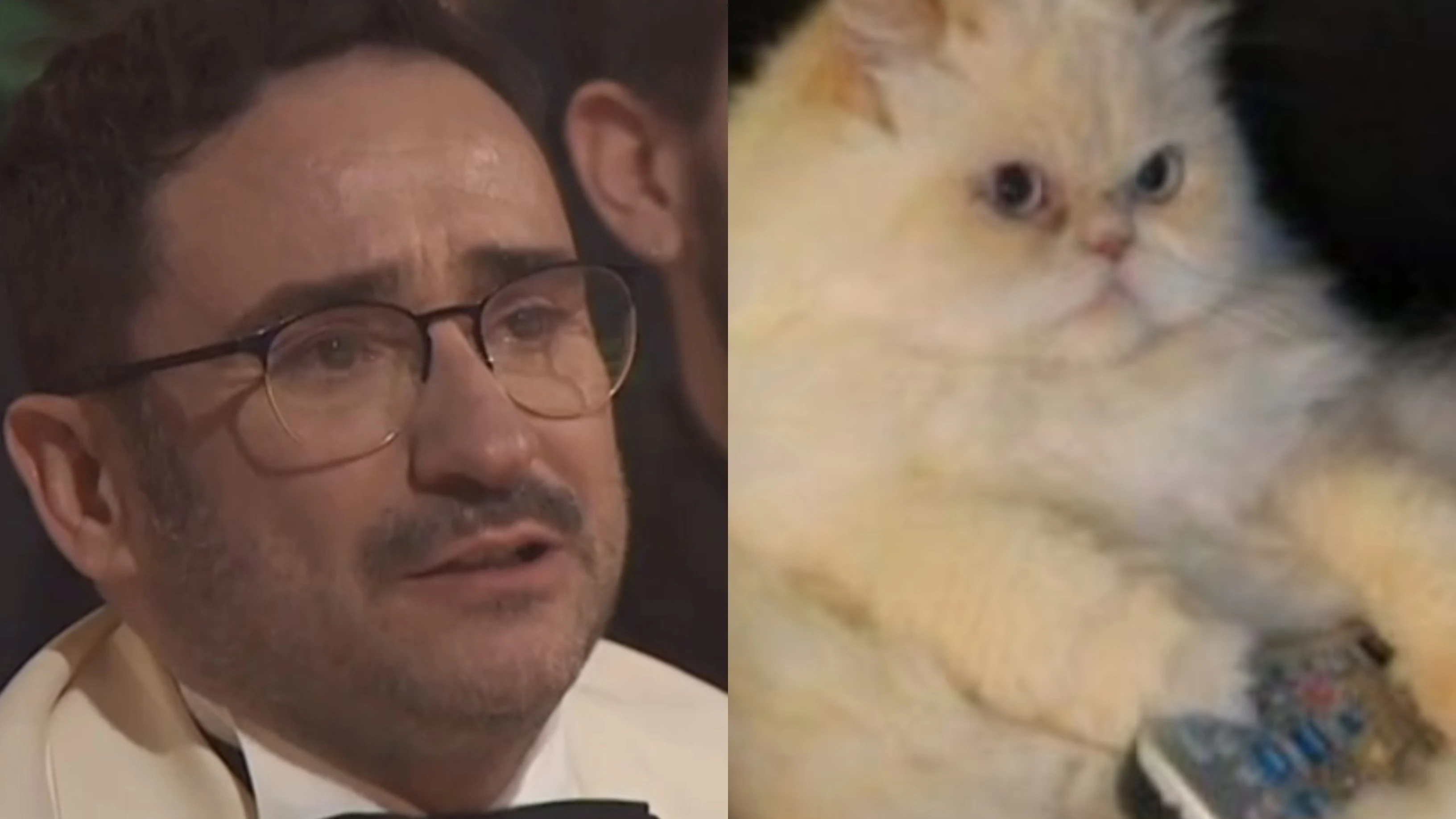 Memes de los Premios Goya 2024 Memes de los Premios Goya 2024