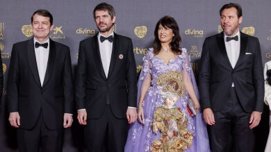La ministra de igualdad se presenta en los Goya con un cuadro de vestido 