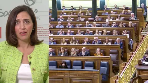 Esther Peña, portavoz del PSOE. Esther Peña, portavoz del PSOE.
