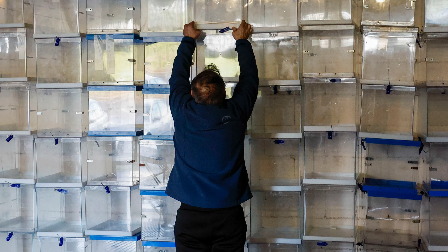Un operario municipal muestra las urnas almacenadas en Santiago de Compostela