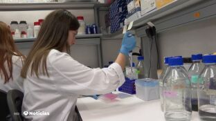 Las c&eacute;lulas pu&ntilde;al localizan y act&uacute;an directamente contra el tumor