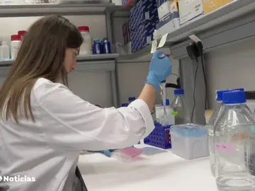 Las células puñal localizan y actúan directamente contra el tumor Las células puñal localizan y actúan directamente contra el tumor