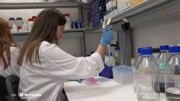 Las células puñal localizan y actúan directamente contra el tumor