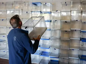 Urnas para las Elecciones Galicia 2024 Urnas para las Elecciones Galicia 2024