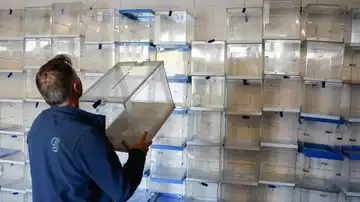 Urnas para las Elecciones Galicia 2024 Urnas para las Elecciones Galicia 2024