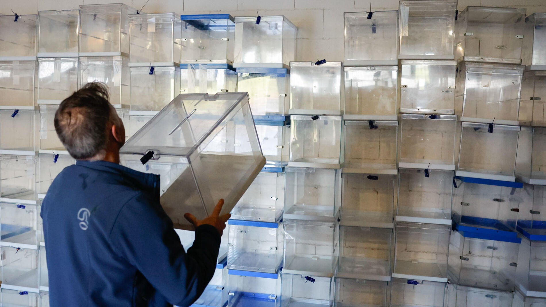 Elecciones Galicia 2024, en directo todo listo para la apertura de las