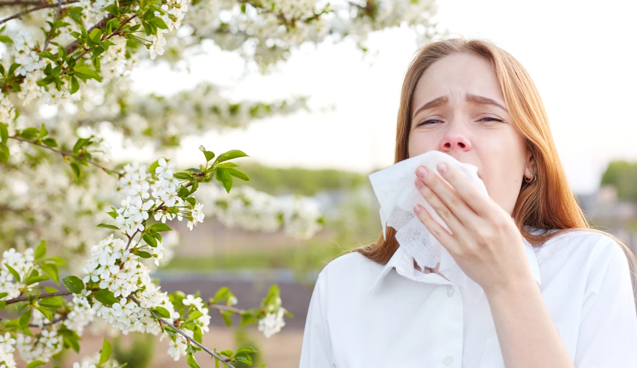 Alergia primaveral