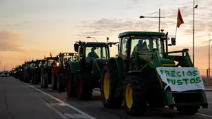 os tractores de los agricultores concentrados en la A-42 a la altura de Torrejón de la Calzada