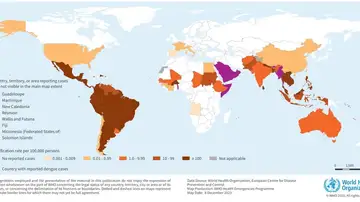 Países, territorios y áreas que notifican casos autóctonos de dengue 