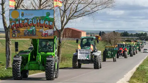 Palacios de Goda acoge la undécima edición de Palagüinos