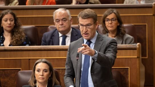 Feij&oacute;o, durante la sesi&oacute;n de control al Gobierno