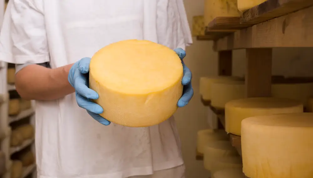 Fábrica de elaboración de queso