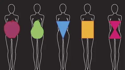 Tipos de cuerpos Tipos de cuerpos