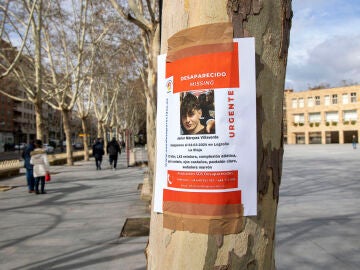 Carteles pegados con la cara del joven desaparecido en Logroño