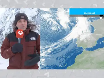 César Gonzalo César Gonzalo