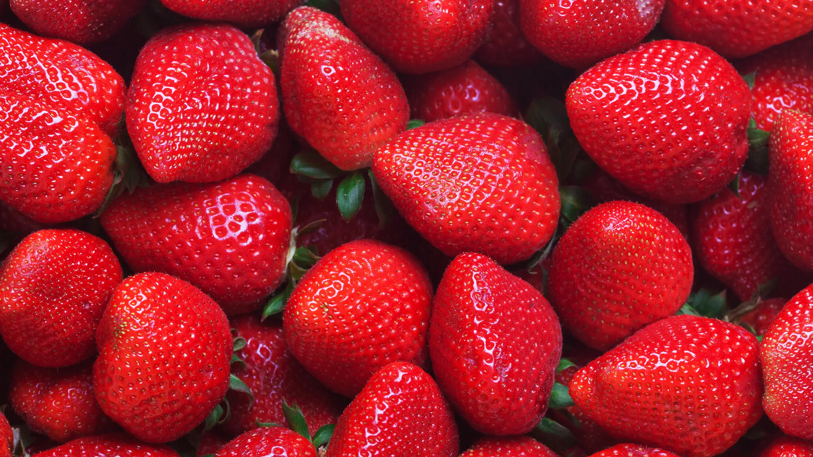 Imagen de archivo fresas