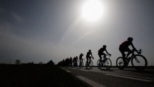 Grupo de ciclistas