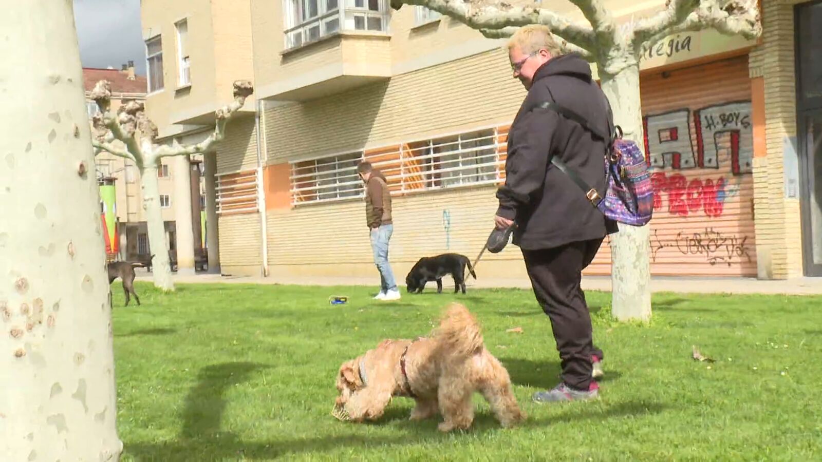 Oleada de envenenamientos a perros en la localidad navarra de Berriozar