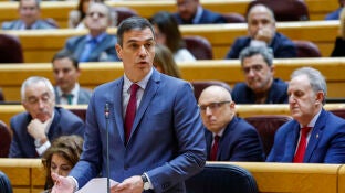 Pedro S&aacute;nchez en el Senado