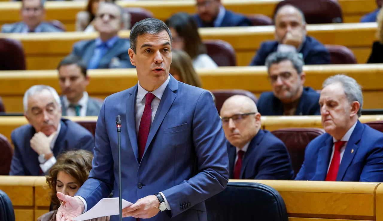 Pedro Sánchez en el Senado
