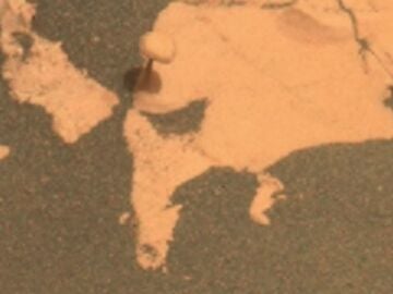 Imagen del 'hongo' encontrado en Marte