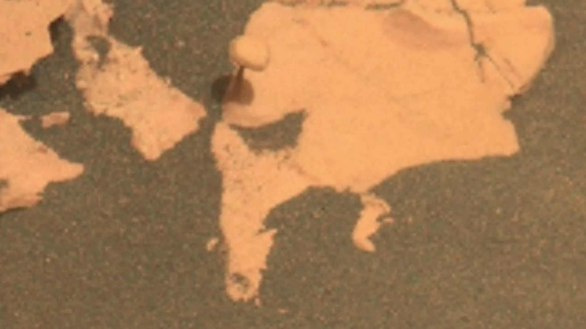 El llamativo descubrimiento de la NASA: encuentran una 'seta' en el suelo  de Marte