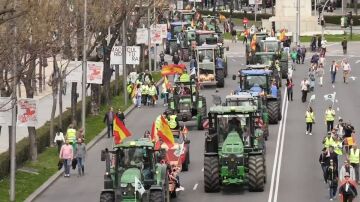 Tractorada de los agricultores en Madrid