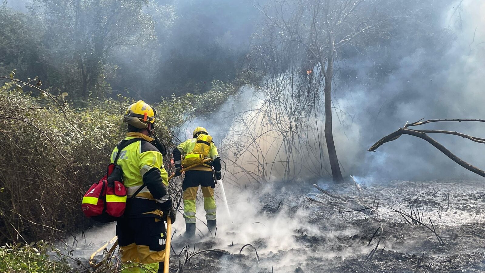 Fanzara, Alcoy y Carmona sufren los primeros incendios de la temporada en España