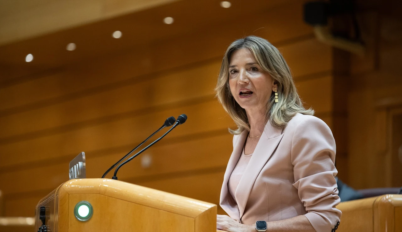 La portavoz del Partido Popular en el Senado, Alicia García