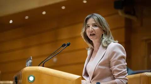 La portavoz del Partido Popular en el Senado, Alicia García La portavoz del Partido Popular en el Senado, Alicia García