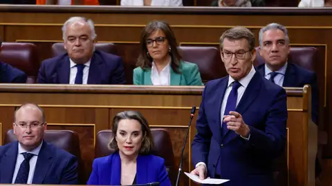 El líder popular, Alberto Núñez Feijóo El líder popular, Alberto Núñez Feijóo