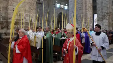 la bendición de las palmas de Domingo de Ramos en Valladolid