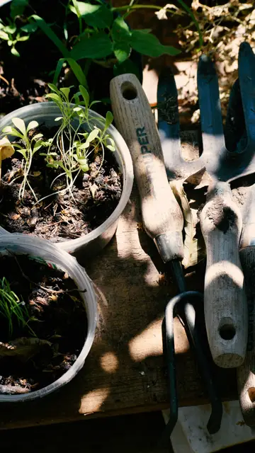 Jardinería Jardinería