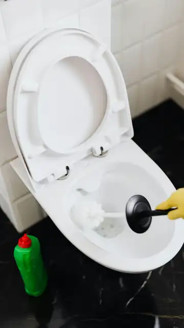 Uso de la escobilla para limpiar el inodoro Uso de la escobilla para limpiar el inodoro