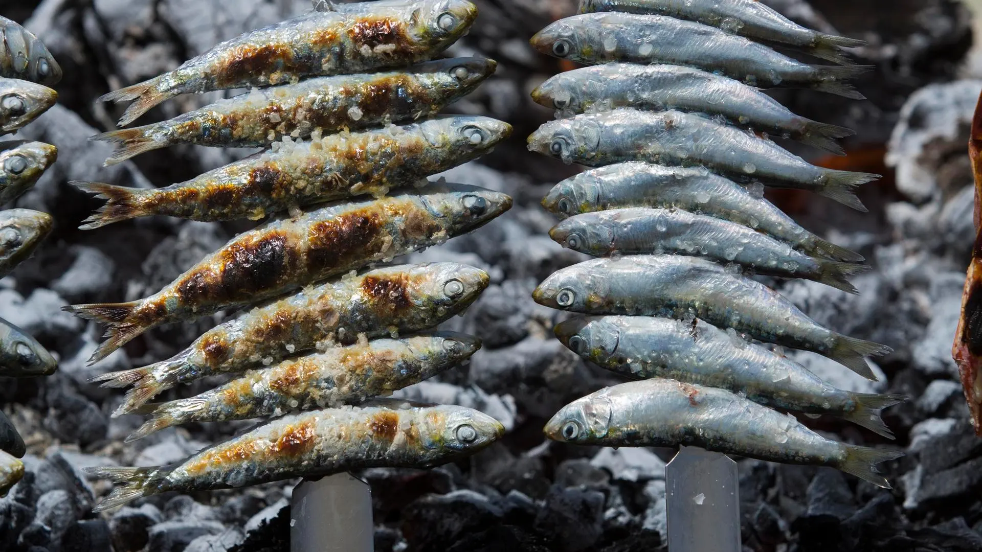Espeto de sardinas en la Playa del Bajondillo de Torremolinos Espeto de sardinas en la Playa del Bajondillo de Torremolinos