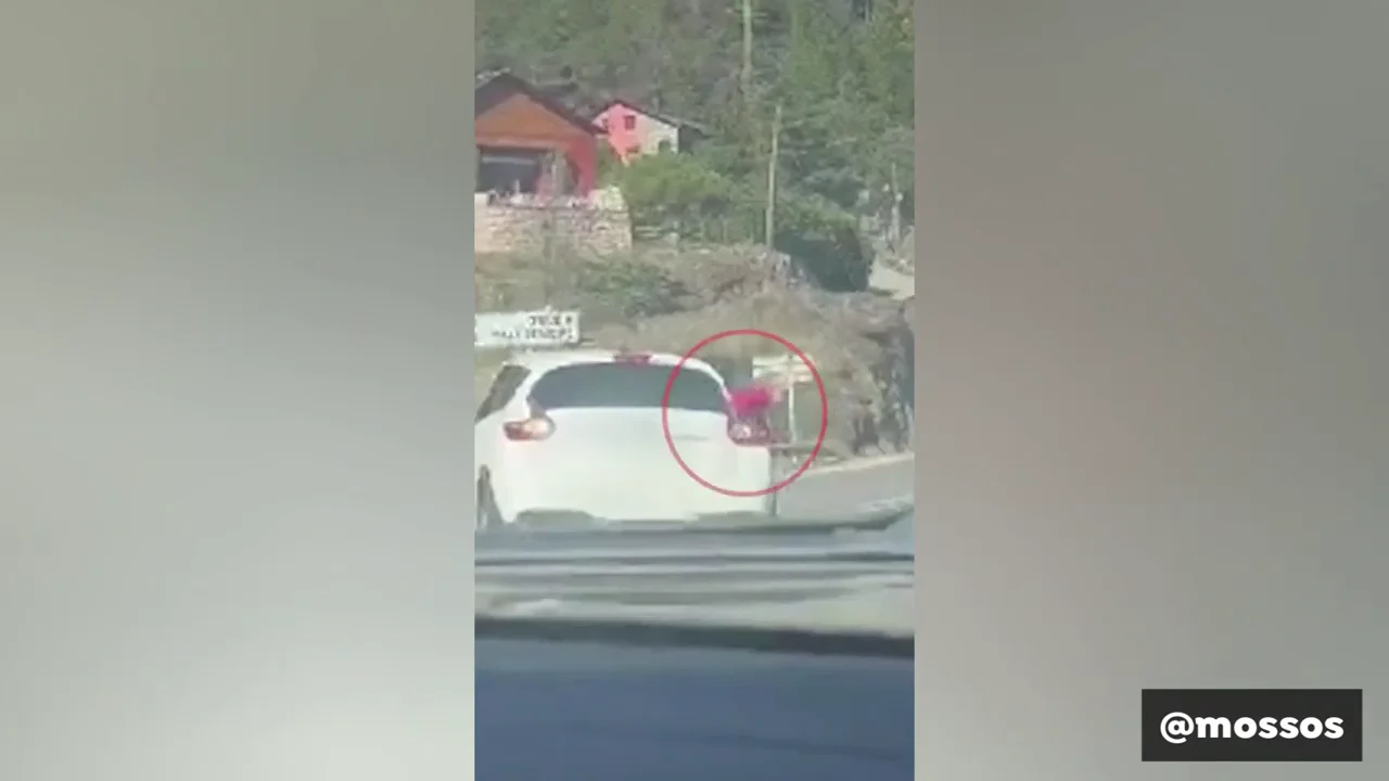 Una niña cae de un coche en marcha por no llevar la silla infantil Una niña cae de un coche en marcha por no llevar la silla infantil