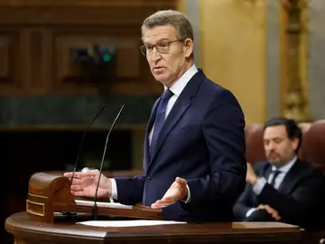 El líder del PP, Alberto Núñez Feijóo El líder del PP, Alberto Núñez Feijóo